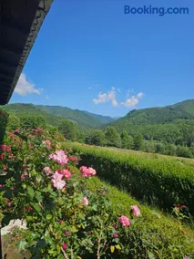 Valea Doamnei - Image 3