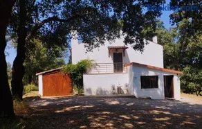 Casa dos Cavalos - Image 2