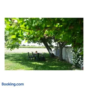 Elegant Cottage in Provence Vineyards View near Mont Ventoux - Image 5