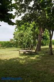 Clos de la Barbanne - Image 2