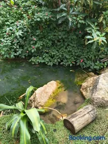 Hospedagem Natureza na Dutra canto dos pássaros - Image 4