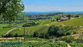 Chambres d'Hotes Le Panoramic Chiroubles Beaujolais - Image 1