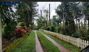 NEW ORGANIC HOME STAY - Image 2