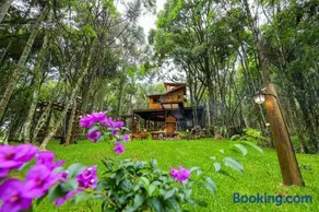Casa na Árvore em Gramado - Image 3