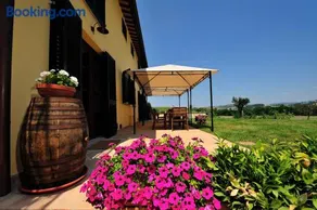Podere Casalsole - Image 2