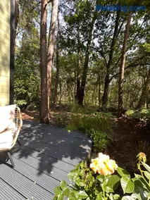 Enchanted garden - Image 1