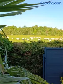 Gîte des Cèdres Ferienwohnung à Ameugny Taizé Cluny - Image 2