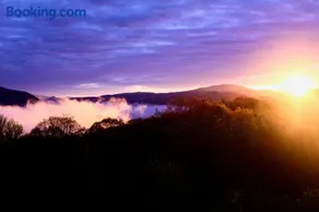 Peaceful View - Image 2