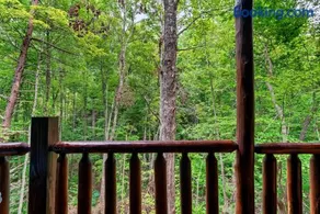 Studio Log Cabin - hot tub, fireplace, views, private! - Image 2