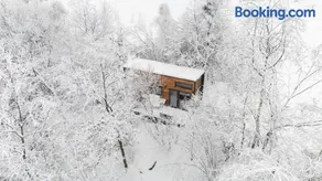 Coniferis - Image 3