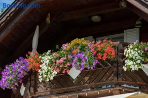 Privatzimmer Haus Gschweitl - Image 4