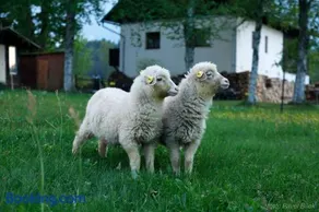 Penzion Bázum - Image 2
