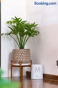 Hapi Home - Image 2