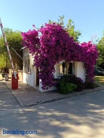 Camping El Palmar - Image 2