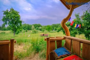Walnussnest - Tiny House im Grünen - Image 3