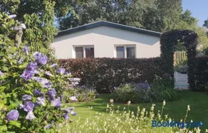 Vakantiebungalow Texel - Image 4