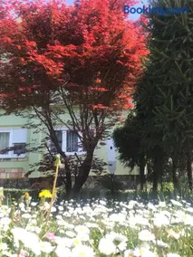 Garden's apartman - Kosjerić - Image 2