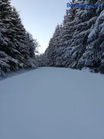 Pööl am Nationalpark Eifel - Image 2