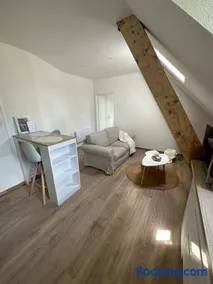Bel appartement cosy proche de la frontière Suisse - Image 1