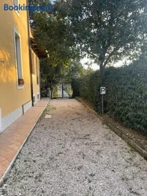 Oasi Gioia verde - Image 2