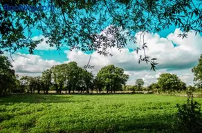 Corrib View Farmhouse - Image 5