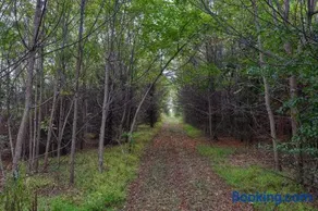 Blue Ribbon Homestead - Image 4
