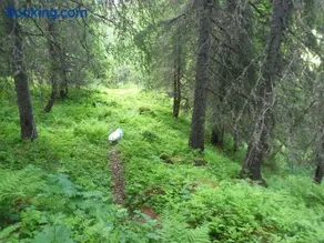 Leilighet i Åmotsdal - Image 2