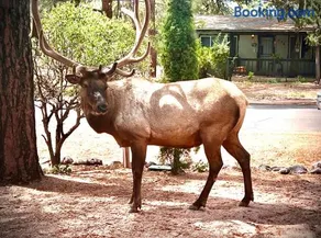 Hidden Gem Retreat in the Heart of Payson - Image 3