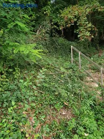 À flanc de colline - Image 2