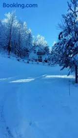 Șoaptele pădurii & Căsuța din pădure - Image 5