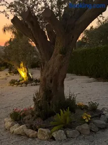 Talè Garden - Image 3