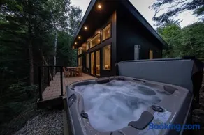 Cozy Luxury Cabin w Hot Tub, Fire Pit, King Bed - Image 1