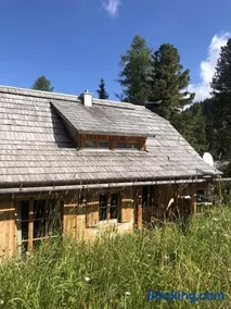 Turrach Chalet Haus Dachs - Image 3