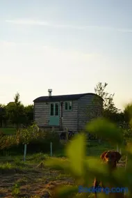 Four Acres Farm - Image 4