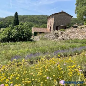 Ferme d'hôtes de Pouzes - Image 2