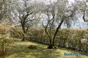 Sarnico giardino sul lago - Image 1