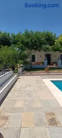 Finca Olivo Llorón - Image 4