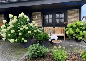 Stadtvilla Annabelle - mit Sauna - Image 1