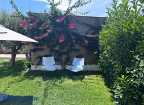 Bougainville House - Image 5