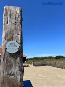 In de duinen - Image 2