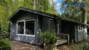 Dreamwoodz - een droomchalet op de Veluwe - Image 1