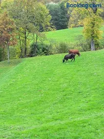 Ca du Bensa - Image 4