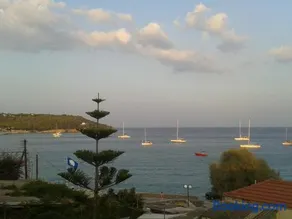 Sunrise Flora - Image 1