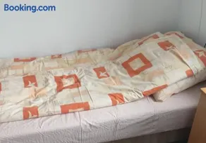 Hotel New Kesar Palace - Image 2