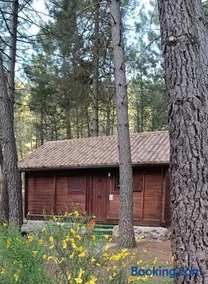 La cabaña de Magui - Image 3