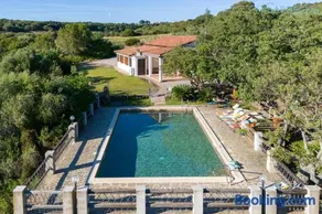 Villa Olive tree, immersa nella natura per relax e quiete - Image 3