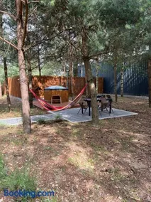 Sosnowe Zacisze w Czapiewicach - Image 1