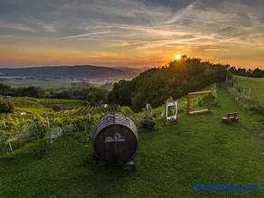 Apartament w Winiarni - Image 1