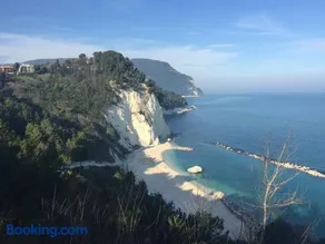 Verde Giada - Image 3