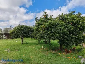 Ruralholidays - Image 3